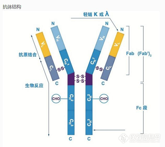 Goat Anti-Rabbit IgG/HRP標(biāo)記羊抗兔IgG