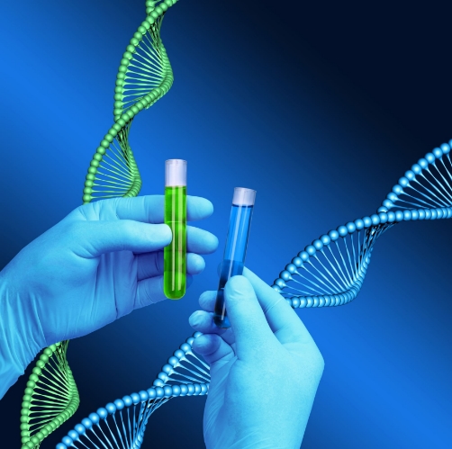 PCR Array