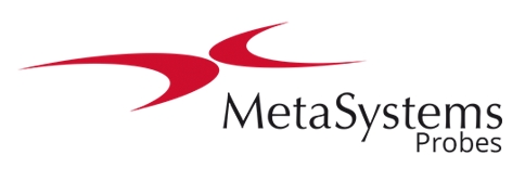 Metasystems