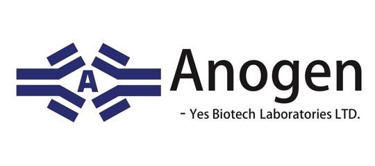 Anogen