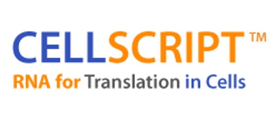 CELLSCRIPT