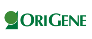 OriGene