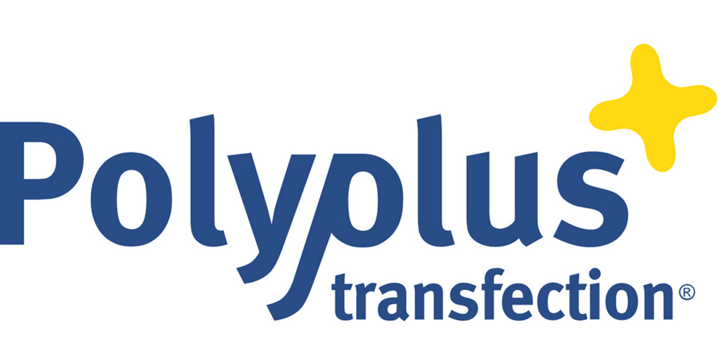 Polyplus Transfection